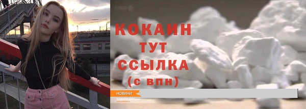 прущие грибы Нефтекумск