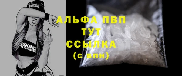 прущие грибы Нефтекумск
