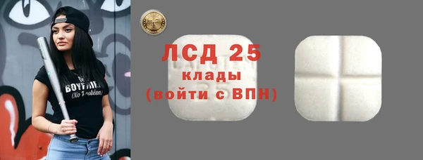 прущие грибы Нефтекумск