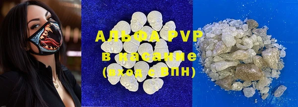 прущие грибы Нефтекумск