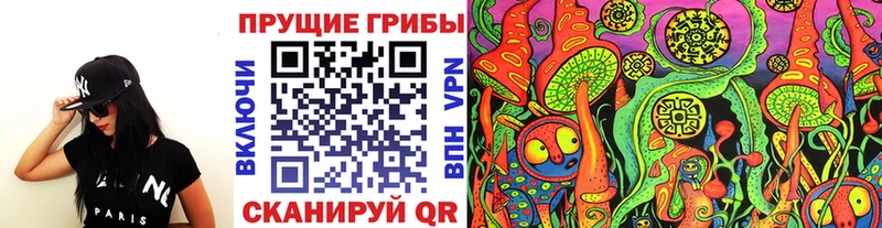 где купить наркотик  Киржач  Псилоцибиновые грибы Cubensis 