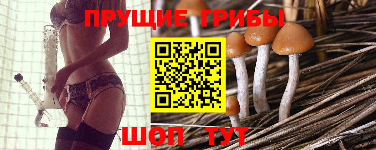 Галлюциногенные грибы мухоморы Киржач