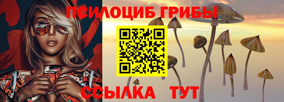 Киржач  даркнет сайт  Псилоцибиновые грибы мухоморы  Вход с VPN  Псилоцибиновые грибы прущие грибы 