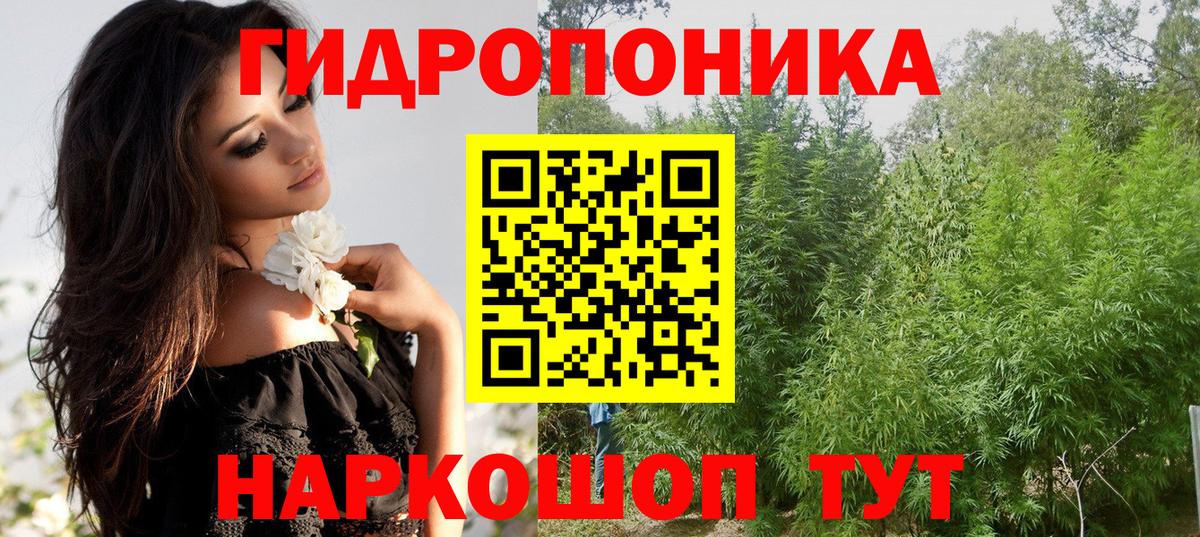 Шишки марихуана марихуана  Канабис гибрид  Шишки марихуана Bruce Banner  Вход с VPN  Киржач 